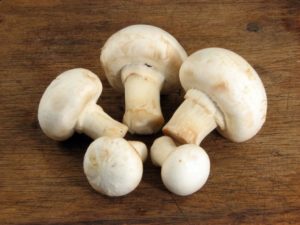 свойства грибов